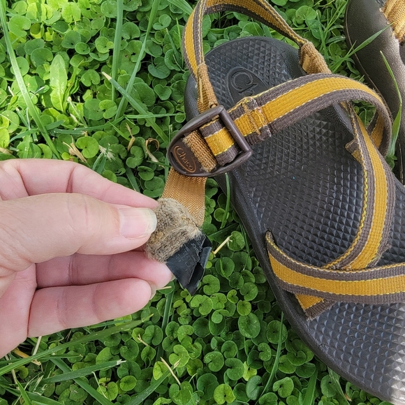 Youth Chaco Sandal Outdoor - Picture 4 of 7